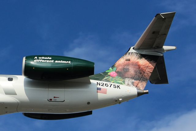 Embraer ERJ-135 (N267SK) - Close up of the animal tail on a Frontier EMB-145LR landing Nashville 03/15/12