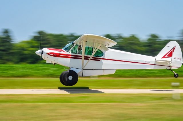 Piper L-21 Super Cub (N7599K) - Touching down at Gray's Creek.