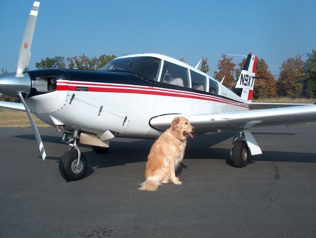 Piper PA-24 Comanche (N9XT) - Barkley The Wonder Dog poses with her ride, the Renegade Comanche.  Based at Leesburg, VA, Barkley enjoys chew toys, long walks around the ramp, and flying to Cape Cod to be spoiled by family.