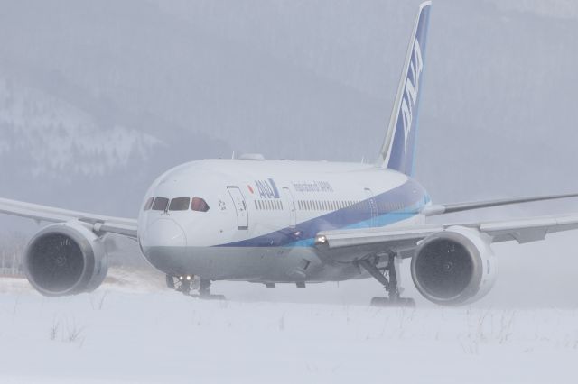 Boeing 787-8 (JA810A) - February 12th 2018:HKD-HND.