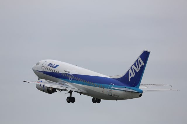 Boeing 737-500 (JA307K)