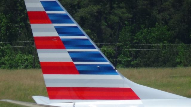 Boeing 737-800 (N830NN) - Americans new tail (American flag flying into battle) close up.