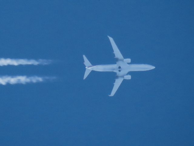 Boeing 737-800 (N200NV)