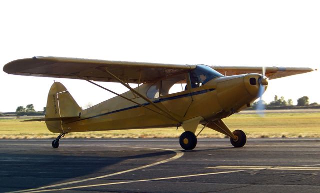 Piper NE Cub (N7785H)