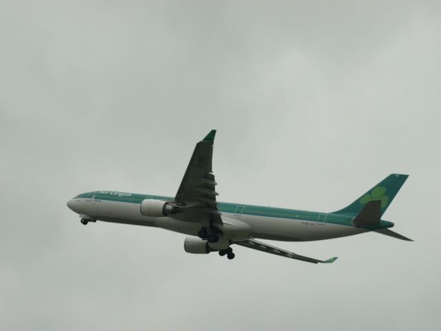 Airbus A330-300 (EI-DUZ)