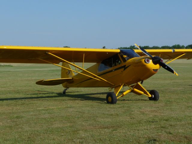 Piper L-18B Cub Special (N439CC)