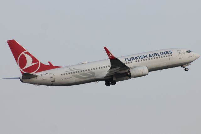 Boeing 737-800 (TC-JVP)