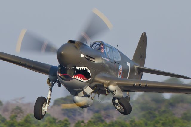 CURTISS Warhawk (N2416X) - Warhawk