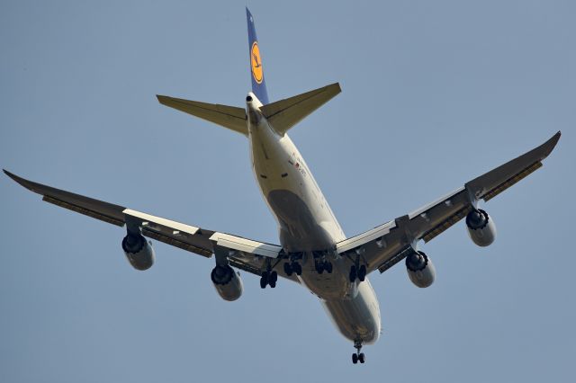 Boeing 747-400 (DABY0)