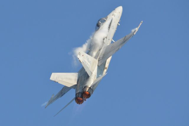 McDonnell Douglas FA-18 Hornet —