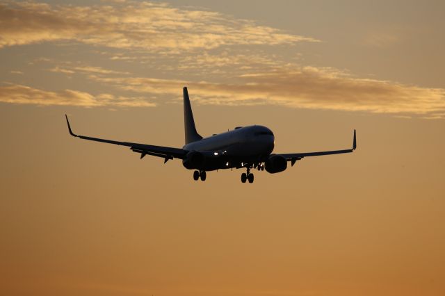 Boeing 737-800 (N388DA)