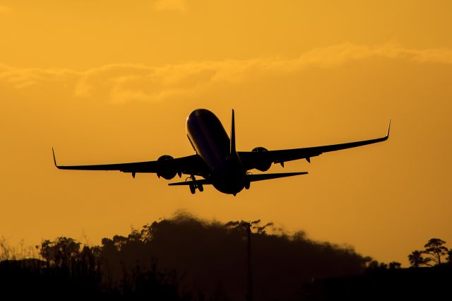 Boeing 737-800 (EC-LYR)