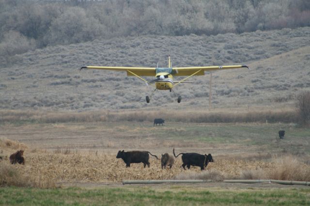 Cessna Skywagon 180 (N2762A)