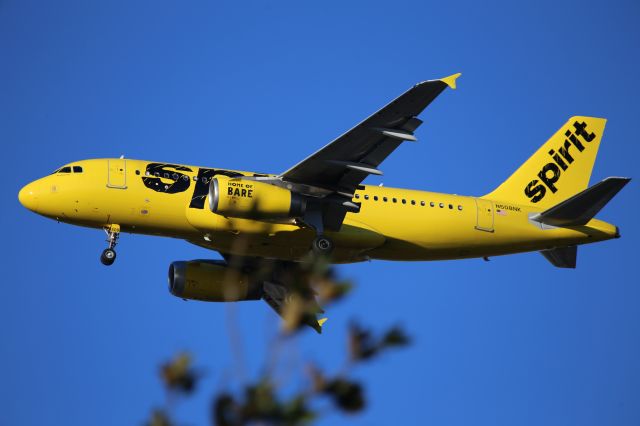 Airbus A319 (N508NK)