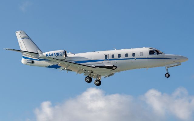 N444WC — - Landing at Sint Maarten-Princess Juliana International 24/Feb/2024