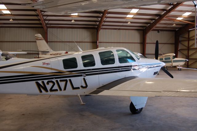 Beechcraft Bonanza (36) (N217LJ)