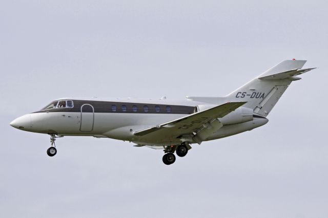 Hawker 800 (CS-DUA)
