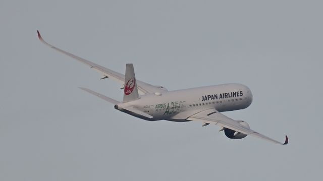 Airbus A350-900 (JA03XJ) - 24.Feb.2024br /Takeoff at RWY 05.