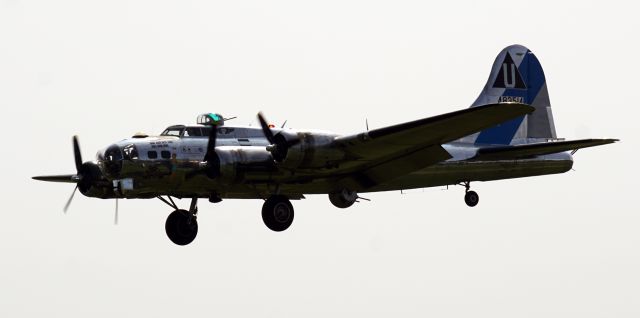 Boeing B-17 Flying Fortress — - CAFs Boeing B17, Sentimental Journey, coming in over the fence at Albany on August 26