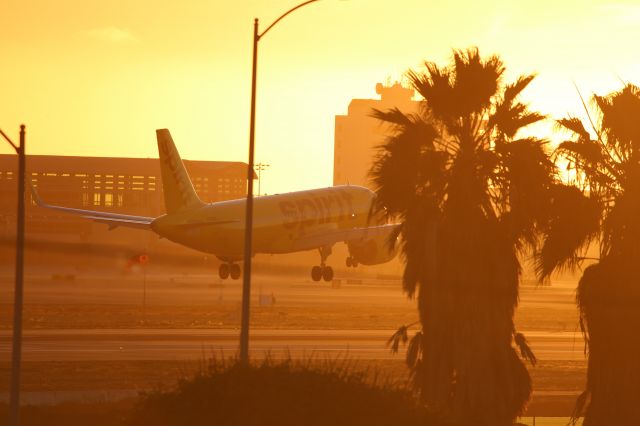 Airbus A320neo (N916NK)