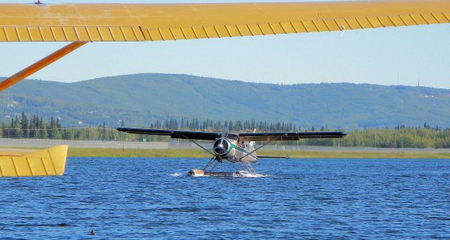 De Havilland Canada DHC-2 Mk1 Beaver — - Taxiing to active.