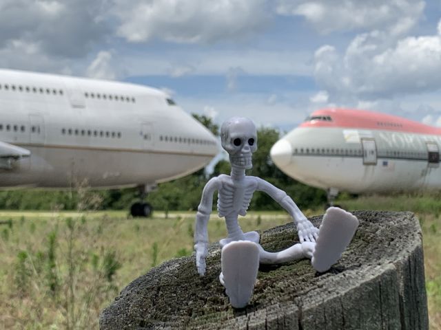 — — - Grippy Bones on guard at the Boneyard!