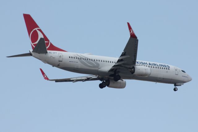 Boeing 737-800 (TC-JVY)
