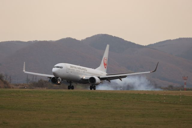 Boeing 737-800 (JA305J) - November 8th 2020:HND-HKD.