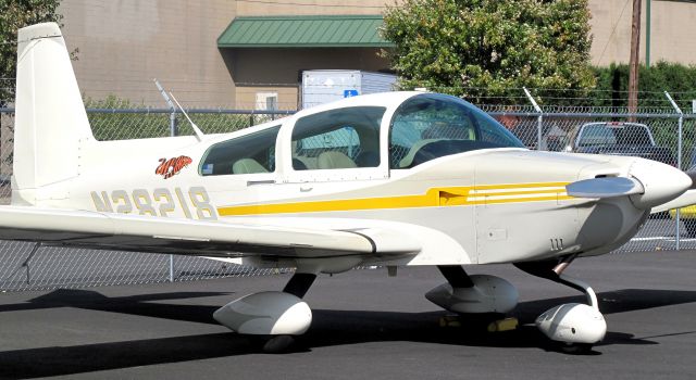 Grumman AA-5 Tiger (N28218)