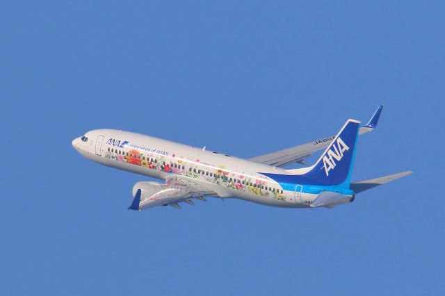 Boeing 737-800 (JA85AN) - hakodatesirport hokkaido japanbr /20.jan.2017