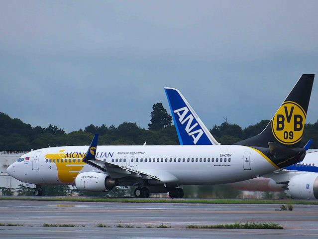 Boeing 737-800 (EI-CXV) - I took this picture on Jul 16, 2019.br /OM502/16Jul NRT-ULN