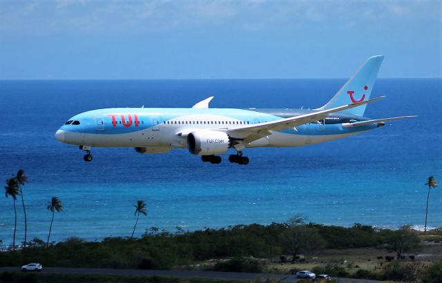 Boeing 787-8 (G-TUIB)