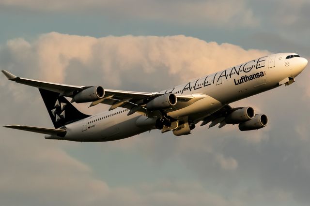 Airbus A340-300 (D-AIGX) - deep yellow sun after rain