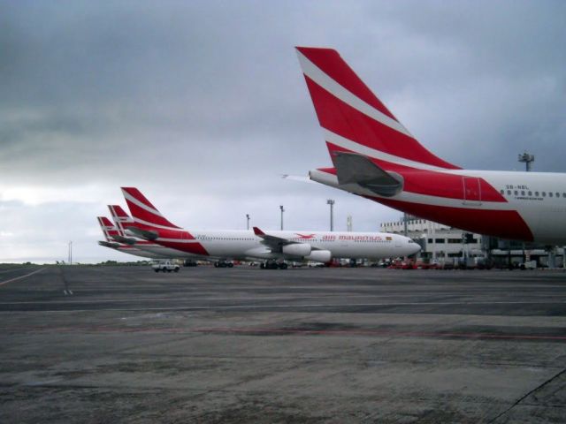 Airbus A330-300 (3B-NBL)