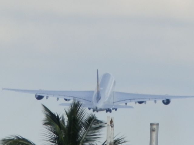 Airbus A380-800 (D-AIMI)