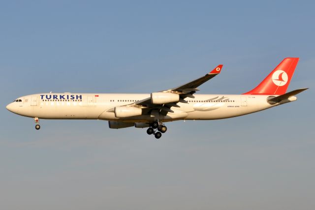 Airbus A340-300 (TC-JDM) - TURKISH AIRLINES on 025L (20/11/2009)