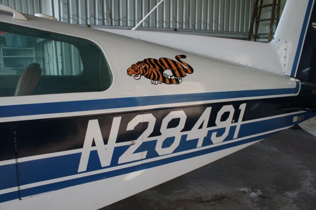 N28491 —