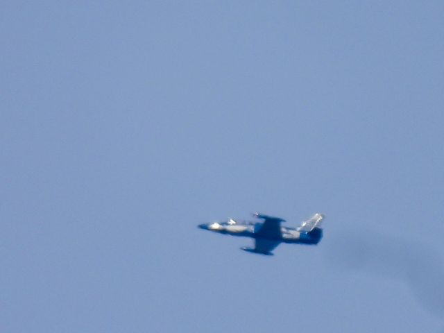 Aero L-39 Albatros (N939CM) - 01/25/2025