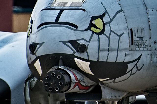 Fairchild-Republic Thunderbolt 2 (79213) - A-10 Nose art from 163rd Fighter Squadron, Indiana Air National Guard Blacksnakes  79-213 leaving KAMA