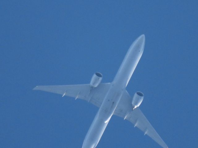 BOEING 777-300ER (N736AT) - AAL20br /DFW-LHRbr /11/14/2024