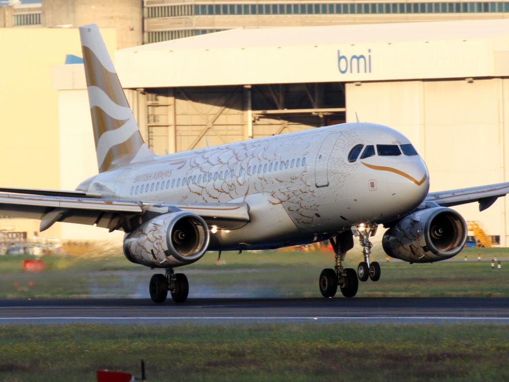 Airbus A319 (G-EUOH)