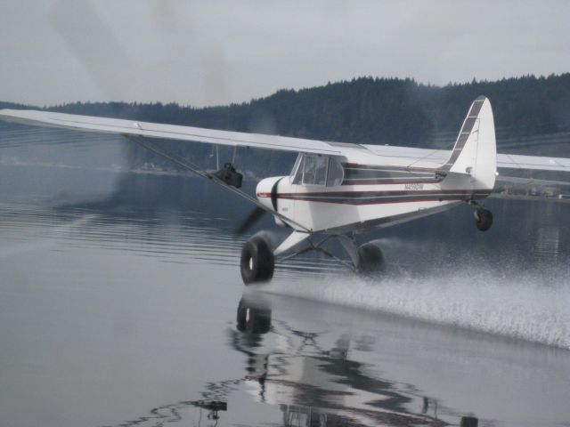 Piper L-21 Super Cub (N459DW)