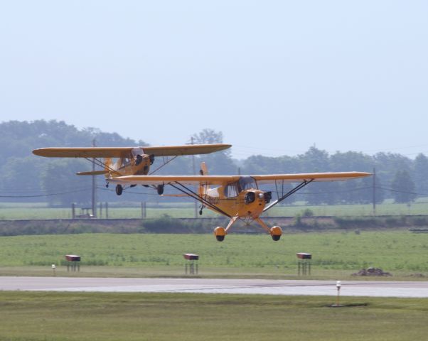 N85643 — - Clipped Wing Cubs