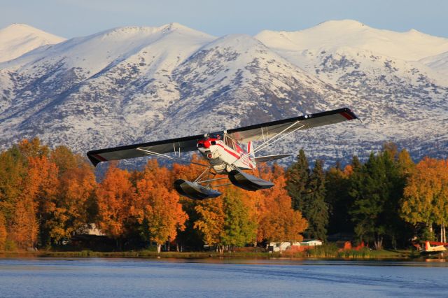 Piper L-21 Super Cub (N7233K)