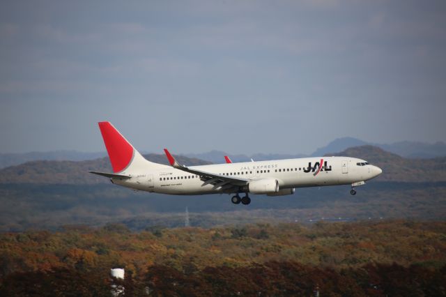 Boeing 737-800 (JA316J)