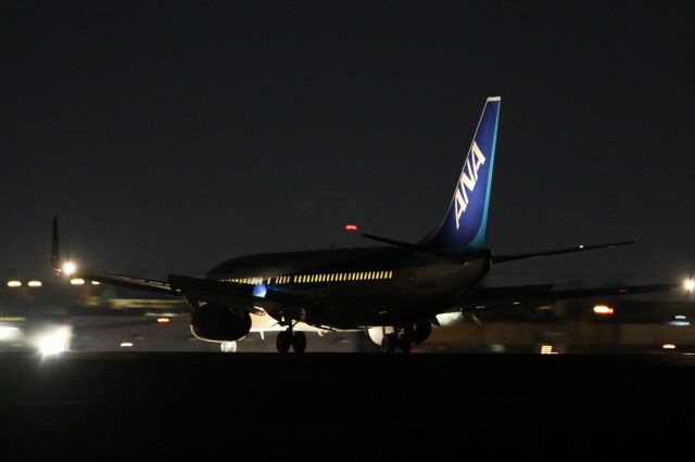 Boeing 737-800 (JA60AN) - 22 March 2016:HND-HKD.