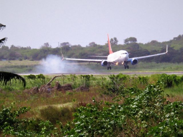 Boeing 737-800 (C-FYLC)