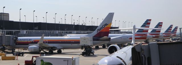 Boeing 737-800 (N917NN) - 9/11/19 one of these tails is not like the others....Chicago T3