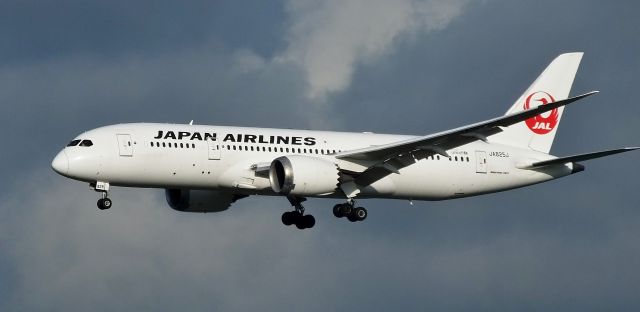 Boeing 787-8 (JA825J)