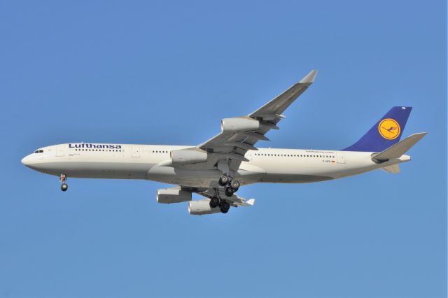 Airbus A340-300 (D-AIFD)